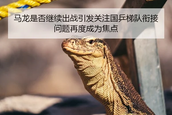 马龙是否继续出战引发关注国乒梯队衔接问题再度成为焦点